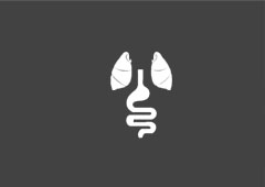呼吸科、消化科領(lǐng)域